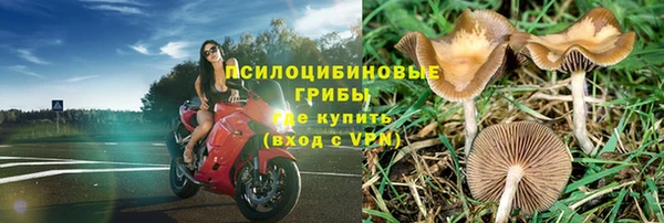 стафф Нефтегорск